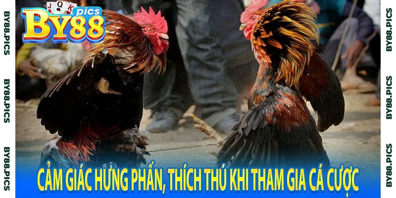 Cảm giác hưng phấn, thích thú khi tham gia cá cược